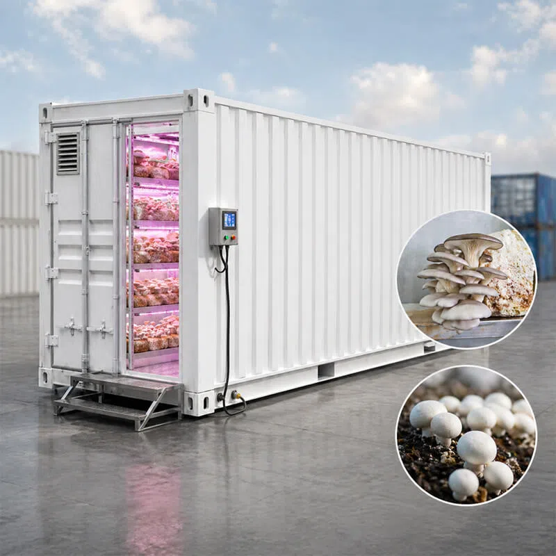 mushroom-container-farm