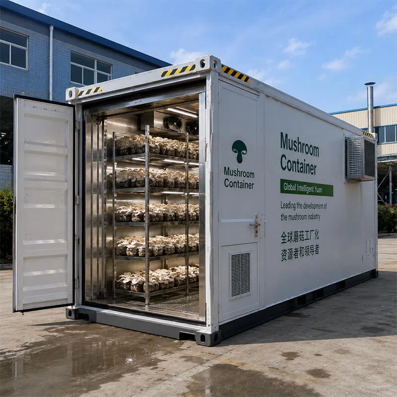 mushroom-container-farm