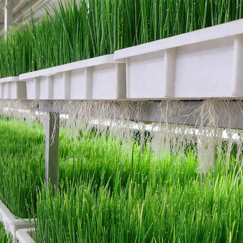 Aurlgrow fodder container farm
