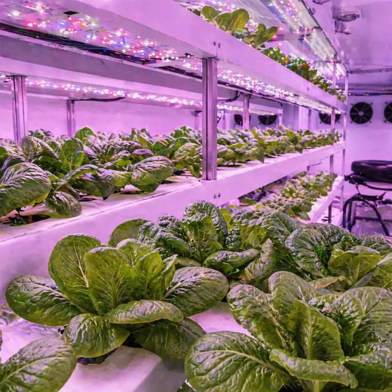 Aurlgrow leafy greens container farm