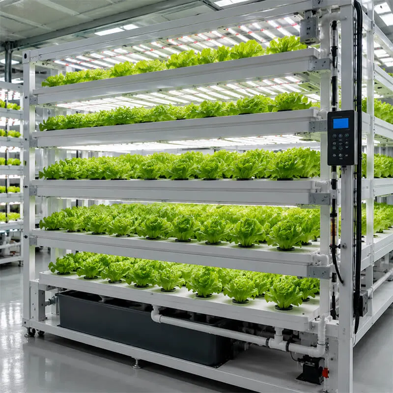 Aurlgrow nft hydroponic rack